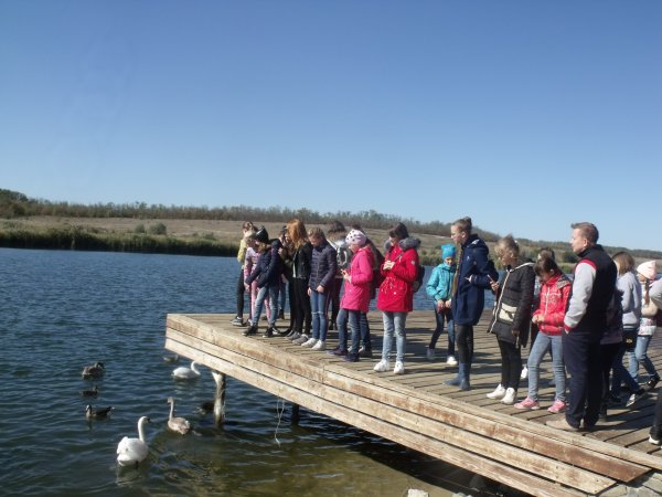 Парк птиц малинки в Ростовской области