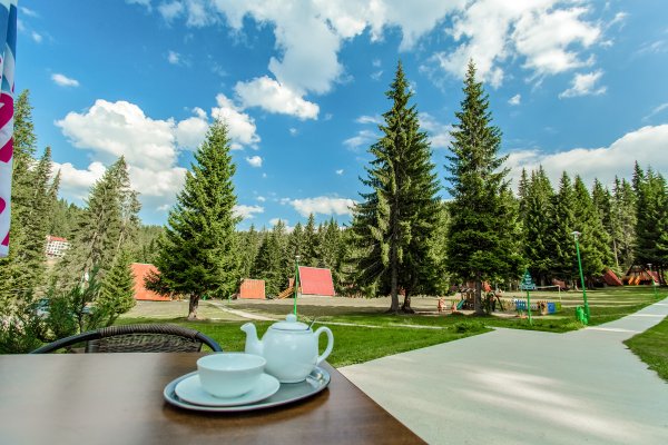 Парк малинки профессиональные яркие фото