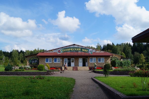 Парк птиц кафе