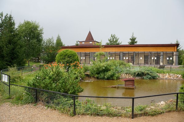 Боровск парк птиц