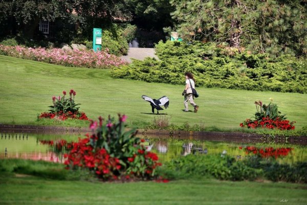 Парк птиц Вальсроде