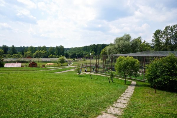 Парк птиц воробьи Шашлычная