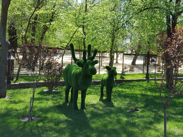 Логопарк Каменск-Шахтинский зоопарк