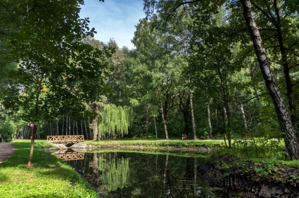 Парк Сокольники