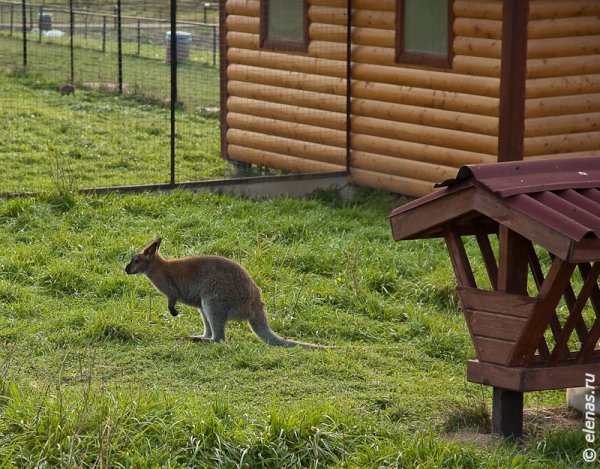 Парк птиц Обнинск