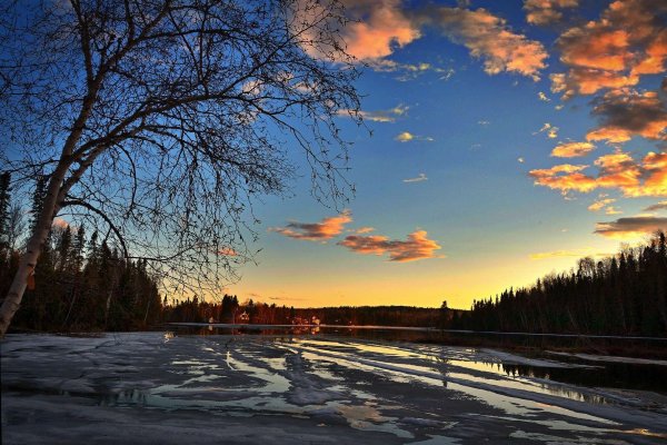 Ранняя Весна ночь