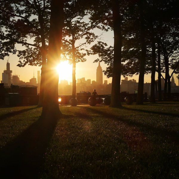 Закат в парке Эстетика