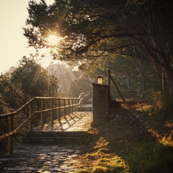 Парк Эстетика