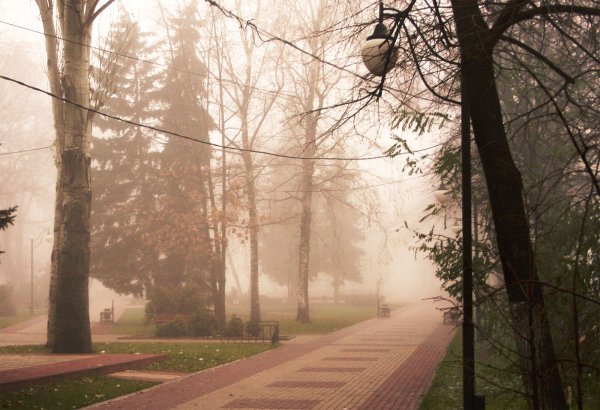 Парк Эстетика