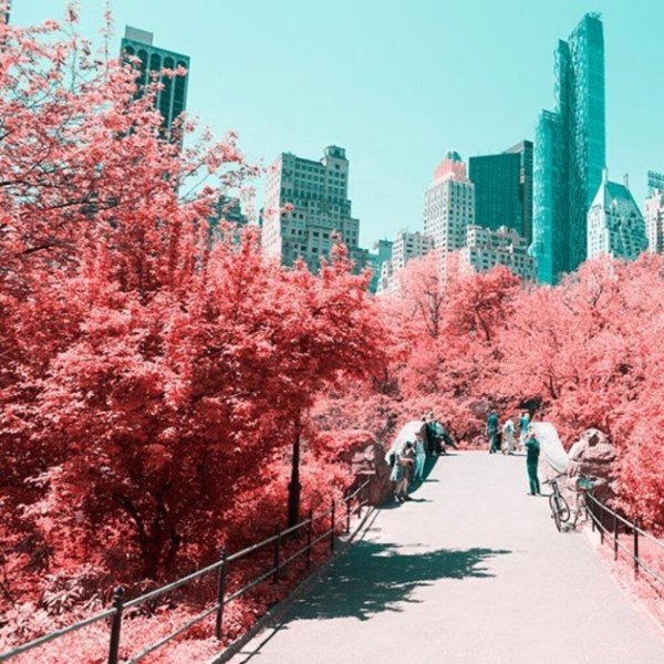 Эстетичный фон парк