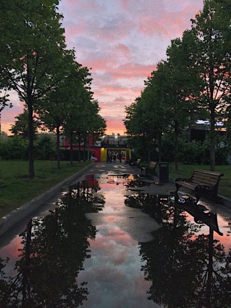 Эстетика парка