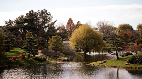 Парк Красногвардейские пруды осень