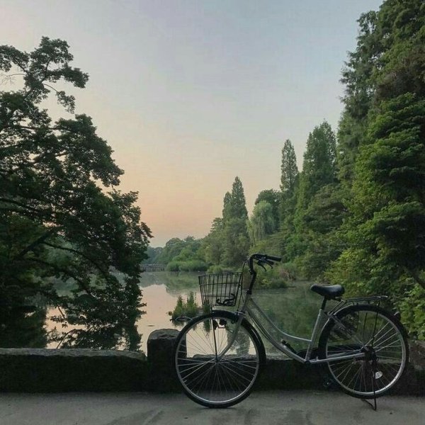 Стильные пейзажи