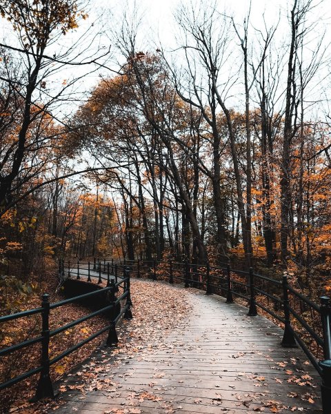 Осень парк Эстетика