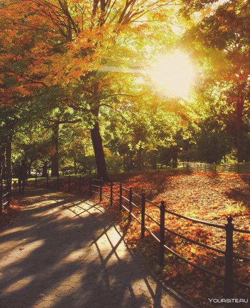 Осень в парке