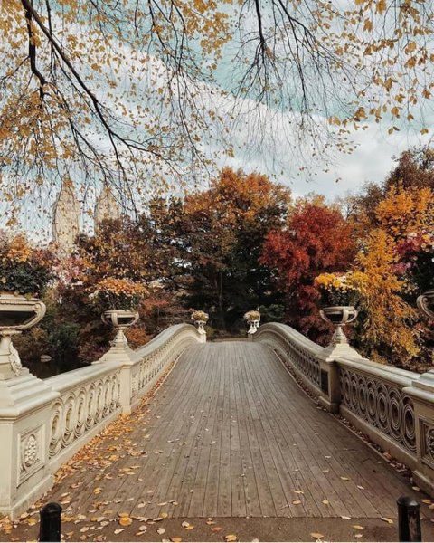 Парк осенью