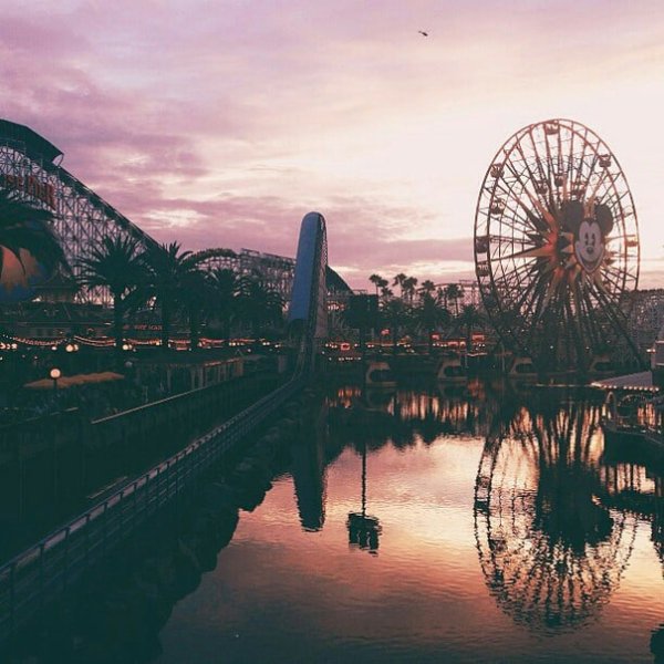 Парк аттракционов Эстетика тумблер