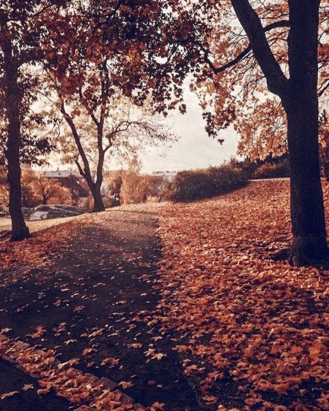 Осенний парк Эстетика