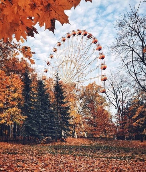 Парк осенью Эстетика