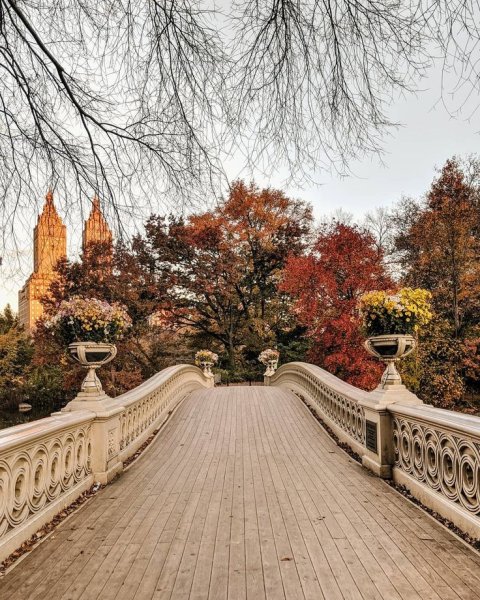 Городской парк Нью-Йорка