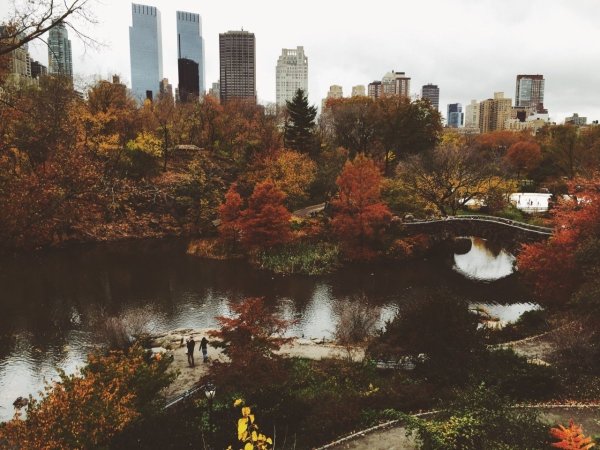 Нью Йорк осень Эстетика