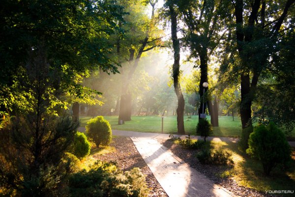 Парк Сосновый Краснодар