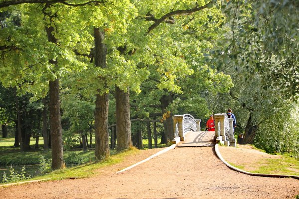 Липовая аллея Гатчина