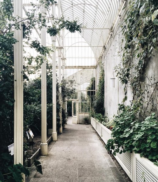 Оранжерея Джина