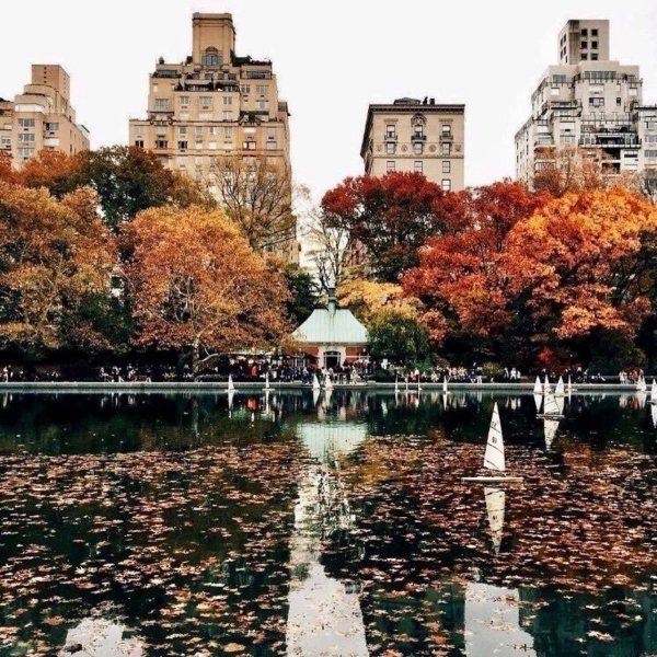 Осенний Центральный парк Нью-Йорка