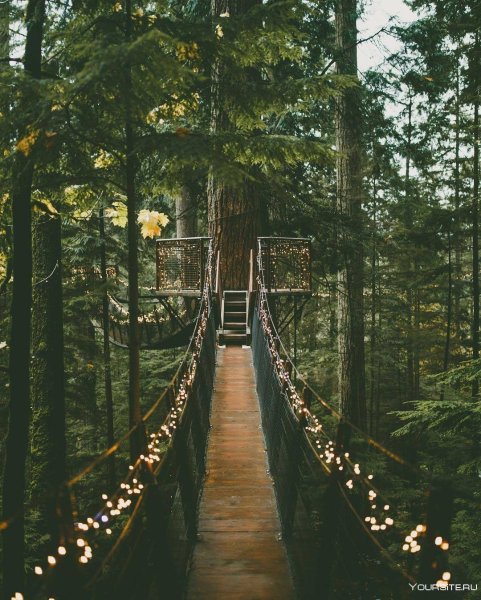 Capilano Suspension Bridge Park