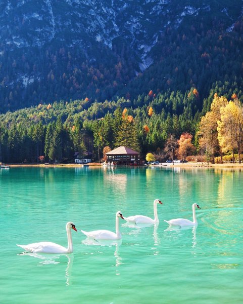 Озеро Доббиако Италия