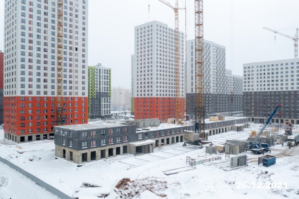 Бутово парк Дрожжино фото зимой