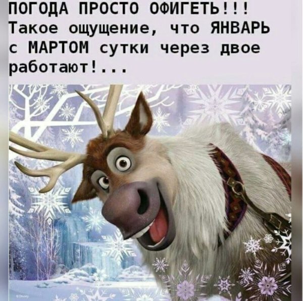 Олень из холодного сердца смешной