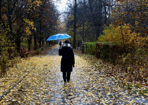 Осень плохая погода