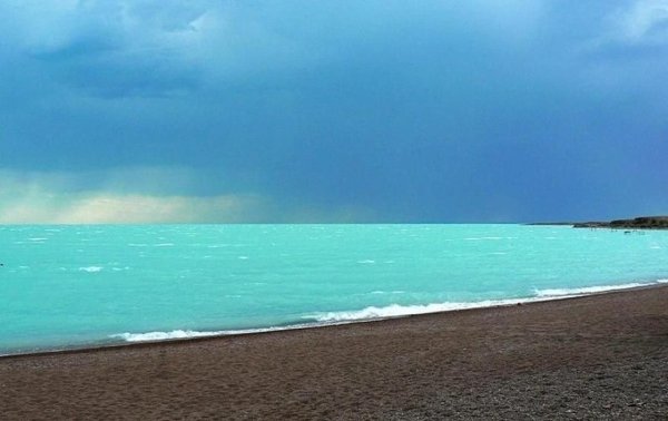 Берег Балхаша