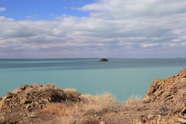 Остров Басарал Казахстан Балхаш