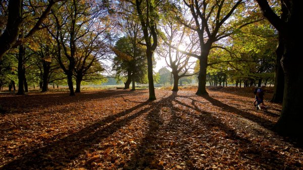 Ричмонд-парк осенью