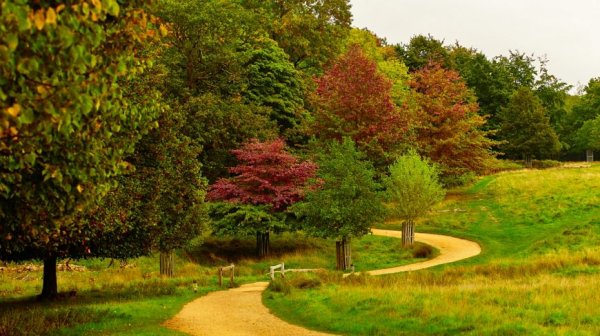 Королевский Ричмонд парк