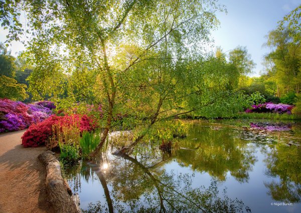 Ричмонд парк плантация Изабеллы