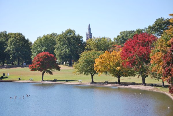 Ричмонд парк в Великобритании