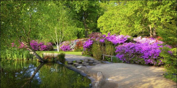 Richmond Park London