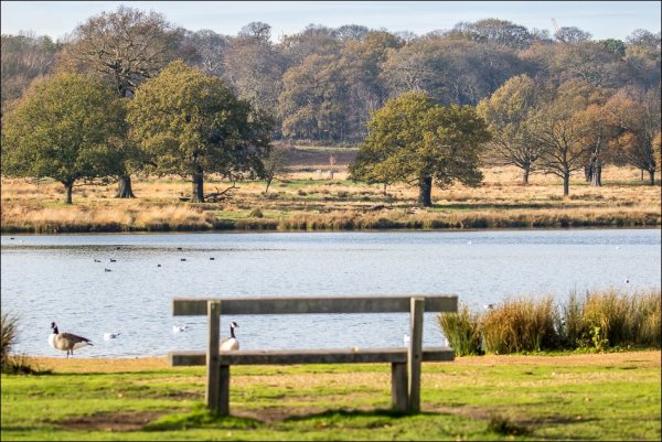 Ричмонд парк Лондон ворота