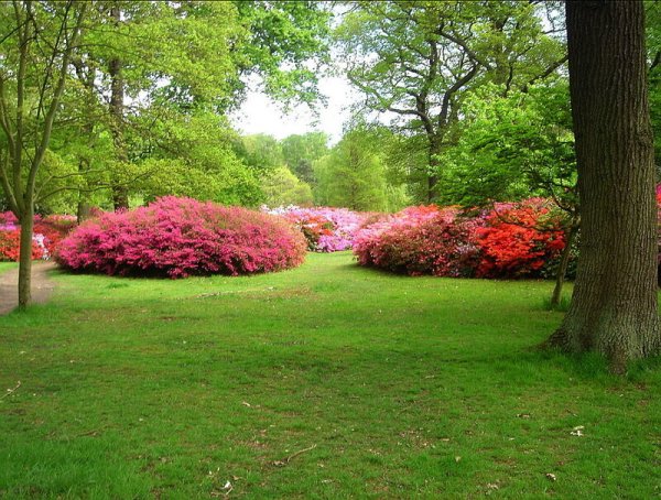 Парк Ричмонд парк к Великобритании