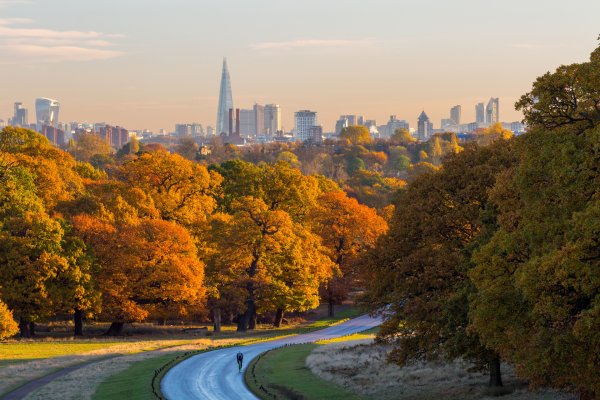 Richmond Park осенью
