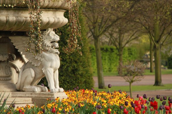 Richmond Park Лондонский Королевский парк