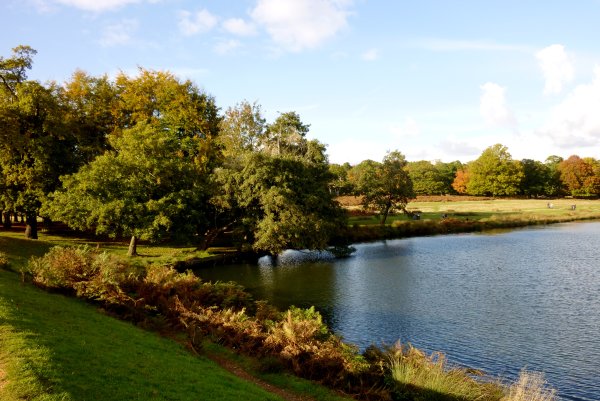 Ричмонд парк в Великобритании