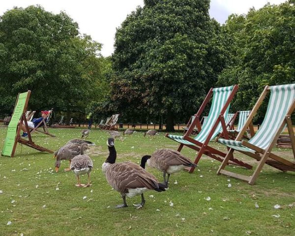 Парк Ричмонд парк к Великобритании