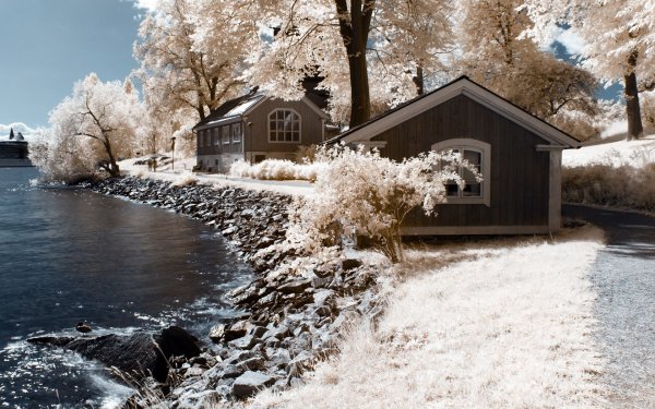 Домик на берегу озера зимой