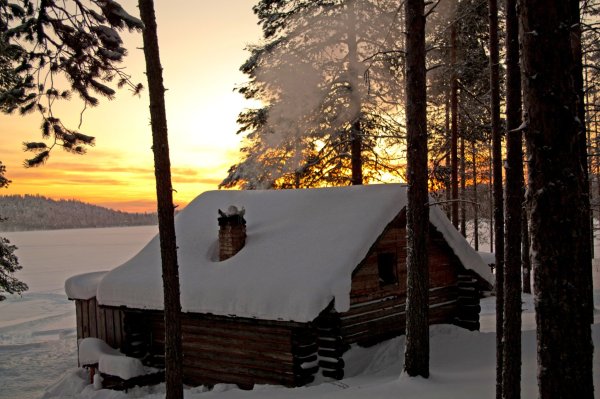 Тайга изба зима Карелия
