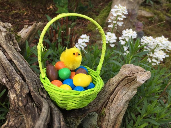 Пасхальная природа